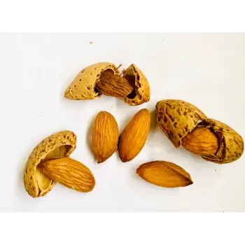 Fresh Kagzi Almonds